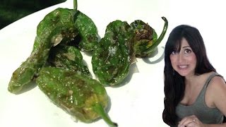 PADRON OR SHISHITO PEPPERS Fried  Tasty Bit 53 [upl. by Jairia]