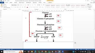 Glycolysis  Cellular Respiration  EMP Pathway  KIPS [upl. by Holbrooke291]