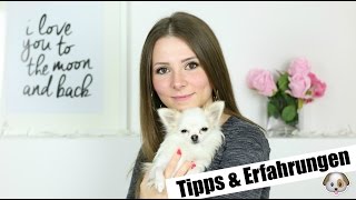 LEBEN MIT EINEM HUND 🐶  TIPPS amp ERFAHRUNGEN  PUBERTÄT LÄUFIGKEIT DIE ERSTEN TAGE [upl. by Arrec318]