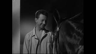 Francis Joins the WACS  1954  Donald OConnor Molly as Francis the talking Mule amp Chill Wills [upl. by Remoh]