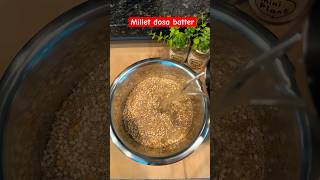 Little millet dosa batter shorts shortsfeed noricedosabatter dosa trending viral easyrecipe [upl. by Oiruam963]