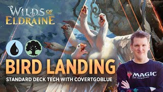 Wilds of Eldraine  Bird Landing  Simic Ramp Deck Tech with CovertGoBlue  MTG Arena [upl. by Lleda]