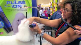 Diane Betelak Demo on Grooming a Poodles Face [upl. by Magbie94]