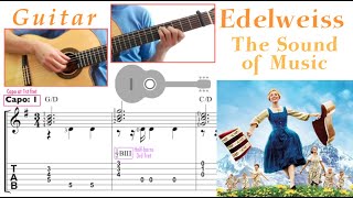 Edelweiss  The Sound of Music Guitar Notation  TAB [upl. by Gwenette]