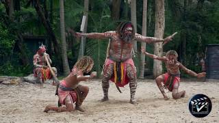 Aboriginal dance show  Australia [upl. by Adnilema]