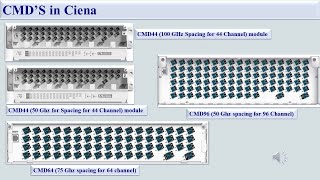 What are the Channel MuxDemux Card name in Ciena [upl. by Ephrayim]