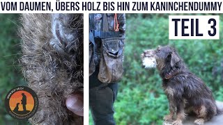 Grundaufbau im jagdlichen Apportieren Teil 3  Hundeschule UB [upl. by Mazurek]