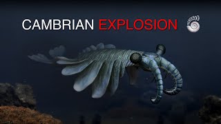 Cambrian Explosion of Animalia [upl. by Niawtna]