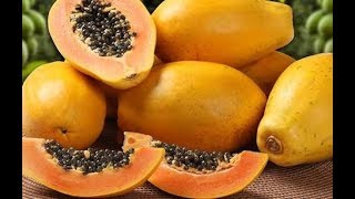 Papaya Shake Recipe in Hindi  Papaya shake for weight loss  Papaya shake benefits [upl. by Oxford]