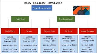 Treaty Reinsurance [upl. by Yurt]