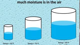 Relative Humidity vs Dewpoint [upl. by Yllac]