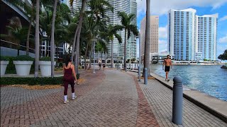 4K Brickell Neighborhood  Day After Milton  Fall Cycling Travel Tour  Miami FL  October 10 2024 [upl. by Beaner57]