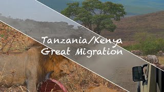 20240717 TanzaniaKenya Great Animal Migration坦尚尼亞肯亞 動物大遷徙 EP1 of 2  Tanzania坦尚尼亞篇 [upl. by Rinaldo]