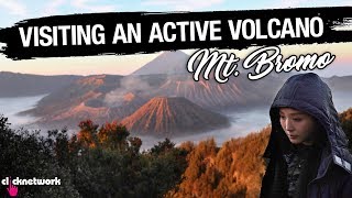 Visiting An Active Volcano Mount Bromo Indonesia  Rozz Recommends EP13 [upl. by Ganny]