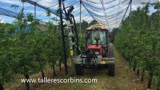 PREPODADORA ALMENDROS ALMOND PRE PRUNING [upl. by Dominus731]