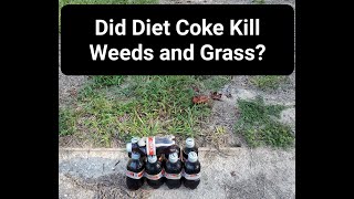 Did Diet Coke Kill Weeds amp Grass  KimTownselYouTube [upl. by Vullo]