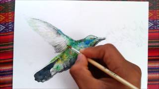 Dibujando un Colibrí con Acuarela  Arte Magic [upl. by Marcie788]