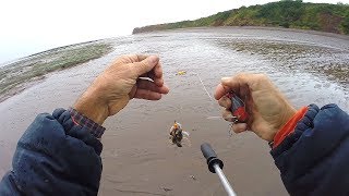 3 Days Fishing on the Beach  Big Eels Rigs Tips and Tactics NIGHT FISHING [upl. by Levins]