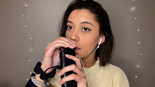 ASMR Tingle Intensive Tascam Mic Licking amp Mouth Sounds [upl. by Anselmo]