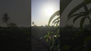 khedut  farming  ખેતી [upl. by Siberson]