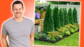 3 SIMPLE BudgetFriendly Landscape Designs [upl. by Werra]