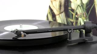 Booker T amp The MGs  Green Onions Official Vinyl Video [upl. by Neehsas]