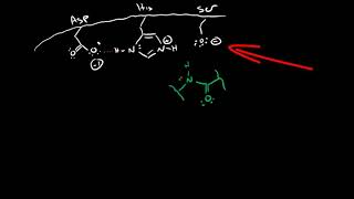 Serine Protease Mechanism [upl. by Lilac]