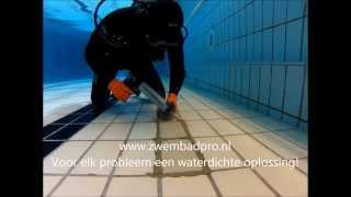 Zwembad reparatie  Voegen zwembad  wwwzwembadpronl [upl. by Rangel878]