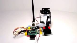 Raspberry Pi Pan Tilt Camera Demo [upl. by Tonl]