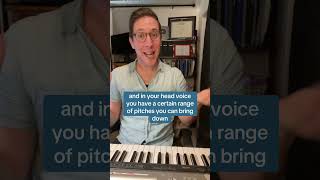 Vocal Flipping Voice Teacher Analyzes Caroline Polacheks Technique [upl. by Essy]