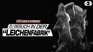 Körperwelten Besuch in der quotLeichenfabrikquot  DONAU 3 FM [upl. by Nadabus]