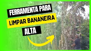 como tirar as palhas da bananeira alta comolimparbananeira [upl. by Kerwon]