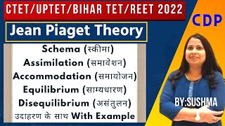 Piaget Schema Assimilation Accommodation Equilibrium Disequilibrium  With Example  CDP [upl. by Unhsiv]