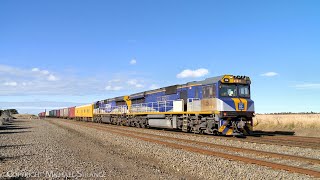 6MX1 Aurizon  Team Global Express Container Train With CM3314 amp CM3306 2162024  PoathTV [upl. by Aleksandr]