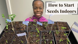 How to Start Seeds Indoors  Step By Step Instructions [upl. by Assilen]