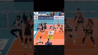 Headshot Kah Mega Redsparks VS HI Pass V League Korea volleyball megawati megavoli [upl. by Ammeg]