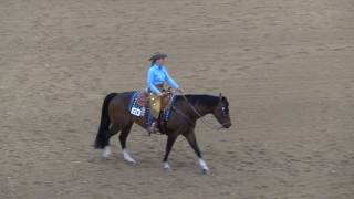 Judges Perspective Rookie Ranch Riding [upl. by Lyman]