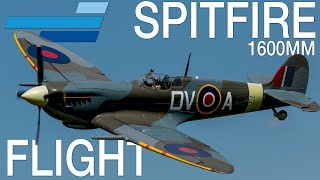 FlightLine 1600mm Spitfire Mk IX RC Warbird  Motion RC Flight [upl. by Llednol]