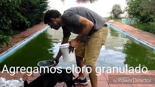 Como recuperar el agua de piscina alberca 1 [upl. by Trebreh]