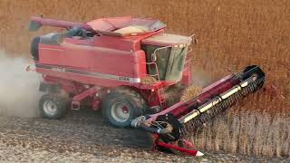 CANADIAN FARMER SOLO EFFORT in a CASE 2388 in a good yield soybean field 25 Case 1020 head [upl. by Yetac290]