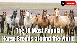 The 10 Most Popular Horse Breeds around the World [upl. by Swen670]