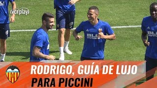 RODRIGO GUÍA DE LUJO PARA PICCINI [upl. by Thorr530]