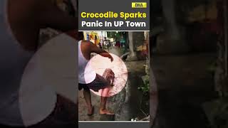 UP Rains Man Kicks Crocodile Out On Walk On Village Streets In Bijnor Video Viral [upl. by Coralie452]