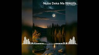 නුබ දැක මා නිවුනාNuba Deka Ma NiwunaSasindu Raveen2024 New Song Sinhalalike subscribe music [upl. by Yortal887]