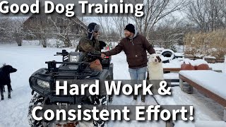 Dog Training Is Simple  Put In The Work And You Will Be Successful [upl. by Farnham]