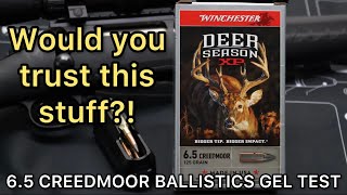 EXPLOSIVE BULLETS 65 Creedmoor Winchester Deer Season XP 125gr Ammo Test [upl. by Jacobina525]