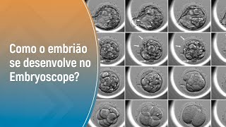 CONHEÇA A TECNOLOGIA TIMELAPSE DO EMBRYOSCOPE® PLUS  GENESIS BRASILIA [upl. by Hathaway79]