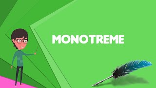 What is Monotreme Explain Monotreme Define Monotreme Meaning of Monotreme [upl. by Atikihs]