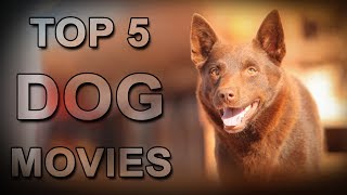 Andy A Dogs Tale  Full Film  Canine Companions animation puppy servicedog [upl. by Nalaf]