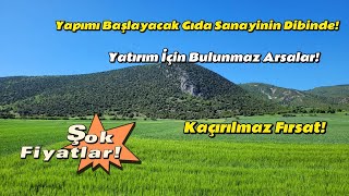 Bilecikte Kelepir Fiyata  Bir Daha Böyle Bulunmaz Yatırımlık Arsalar Çok Değer Kazanacak Satılık [upl. by Neiman]